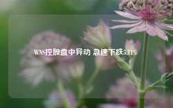 WNS控股盘中异动 急速下跌5.11%