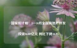 国家统计局：1—10月全国房地产开发投资86309亿元 同比下降10.3%