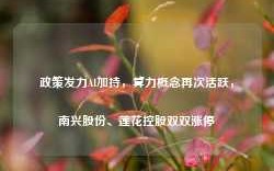 政策发力AI加持，算力概念再次活跃，南兴股份、莲花控股双双涨停