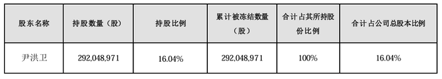 大股东持股遭八次轮候冻结，岭南股份流动性危机何解-第1张图片-拉菲红酒总代理加盟批发官网