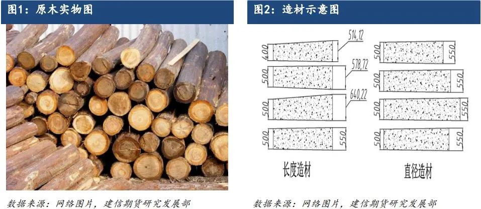 原木期货上市系列专题一：原木基础知识及产业链格局-第2张图片-拉菲红酒总代理加盟批发官网