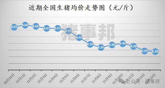 11月13日猪价汇总（北方稍强，南方稍弱！）-第3张图片-拉菲红酒总代理加盟批发官网