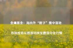 金鹰基金：海内外“靴子”集中落地 市场或将从普涨切换至震荡分化行情-第1张图片-拉菲红酒总代理加盟批发官网