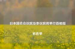 日本国会众议院及参议院将举行首相指名选举-第1张图片-拉菲红酒总代理加盟批发官网