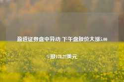 盈透证券盘中异动 下午盘股价大涨5.00%报178.22美元-第1张图片-拉菲红酒总代理加盟批发官网