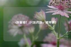 A股重磅！2只医药股，被举牌！-第1张图片-拉菲红酒总代理加盟批发官网