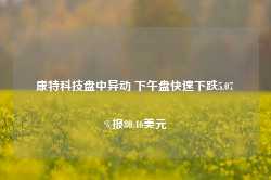 康特科技盘中异动 下午盘快速下跌5.07%报80.46美元-第1张图片-拉菲红酒总代理加盟批发官网