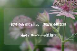 比特币首破9万美元，加密货币概念股走高，MicroStrategy涨超4%-第1张图片-拉菲红酒总代理加盟批发官网