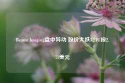 Beamr Imaging盘中异动 股价大跌5.24%报2.71美元-第1张图片-拉菲红酒总代理加盟批发官网