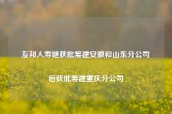 友邦人寿继获批筹建安徽和山东分公司后获批筹建重庆分公司-第1张图片-拉菲红酒总代理加盟批发官网