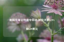 美国先锋公司盘中异动 股价大跌5.29%报6.09美元-第1张图片-拉菲红酒总代理加盟批发官网