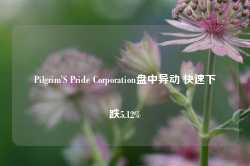 Pilgrim'S Pride Corporation盘中异动 快速下跌5.12%-第1张图片-拉菲红酒总代理加盟批发官网