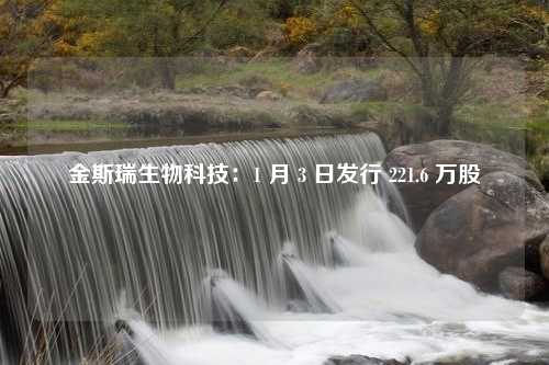 金斯瑞生物科技：1 月 3 日发行 221.6 万股