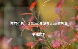 龙芯中科：计划2025年发布3C6000系列服务器芯片