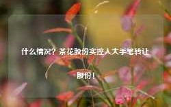 什么情况？茶花股份实控人大手笔转让股份！