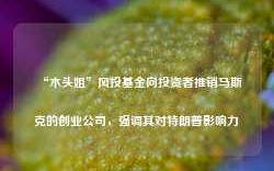 “木头姐”风投基金向投资者推销马斯克的创业公司，强调其对特朗普影响力