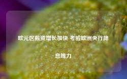 欧元区薪资增长加快 考验欧洲央行降息魄力