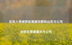 友邦人寿继获批筹建安徽和山东分公司后获批筹建重庆分公司