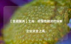 【金融服务】上海：政策性融资担保解企业资金之渴