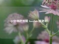 Q3业绩超预期 Snowflake涨超28%