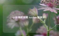 Q3业绩超预期 Snowflake涨超28%