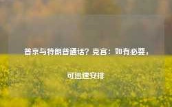 普京与特朗普通话？克宫：如有必要，可迅速安排