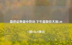 盈透证券盘中异动 下午盘股价大涨5.00%报178.22美元