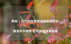 独家 | 幻方回应李橙返佣被抓传言：佣金水平很低 公司层面没有返佣