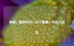 刚刚，集体异动！这个赛道，传出大消息