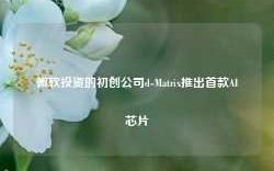 微软投资的初创公司d-Matrix推出首款AI芯片