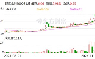 3天2板陕西金叶：公司实控人袁汉源目前因相关事项被公安机关指定居所监视居住