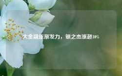 大金融逐渐发力，银之杰涨超10%