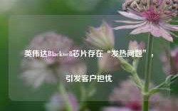 英伟达Blackwell芯片存在“发热问题”，引发客户担忧