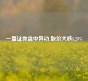 一盈证券盘中异动 股价大跌5.28%