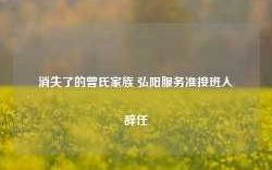 消失了的曾氏家族 弘阳服务准接班人辞任