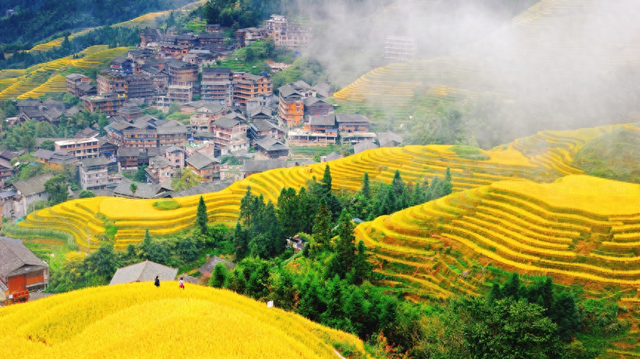 “双十一”来了｜首批囤旅游的人已出发，降温后秋冬季老年游升温