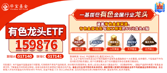 一则消息突然引爆，近150亿主力资金狂涌！有色龙头ETF（159876）逆市飙涨3.89%，中国稀土等6股涨停  第6张