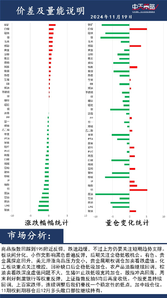 中天策略:11月20日市场分析-第2张图片-拉菲红酒总代理加盟批发官网