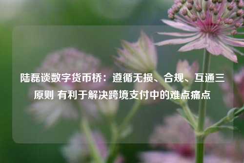 陆磊谈数字货币桥：遵循无损、合规、互通三原则 有利于解决跨境支付中的难点痛点  第1张