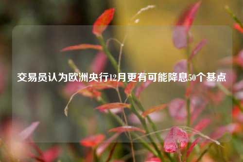 交易员认为欧洲央行12月更有可能降息50个基点  第1张