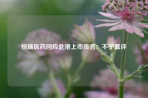 恒瑞医药回应赴港上市传言：不予置评