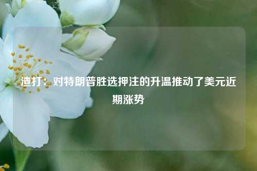 渣打：对特朗普胜选押注的升温推动了美元近期涨势  第1张