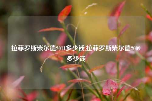 拉菲罗斯柴尔德2011多少钱,拉菲罗斯柴尔德2009多少钱