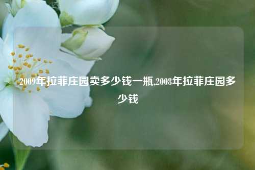 2009年拉菲庄园卖多少钱一瓶,2008年拉菲庄园多少钱  第1张