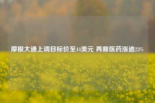 摩根大通上调目标价至44美元 再鼎医药涨逾23%