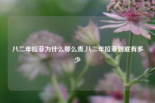 八二年拉菲为什么那么贵,八二年拉菲到底有多少