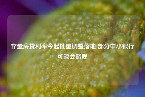 存量房贷利率今起批量调整落地 部分中小银行可能会略晚