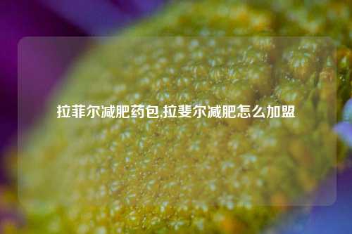 拉菲尔减肥药包,拉斐尔减肥怎么加盟