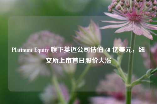 Platinum Equity 旗下英迈公司估值 60 亿美元，纽交所上市首日股价大涨  第1张