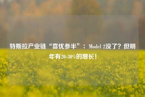 特斯拉产业链“喜忧参半”：Model 2没了？但明年有20-30%的增长！  第1张